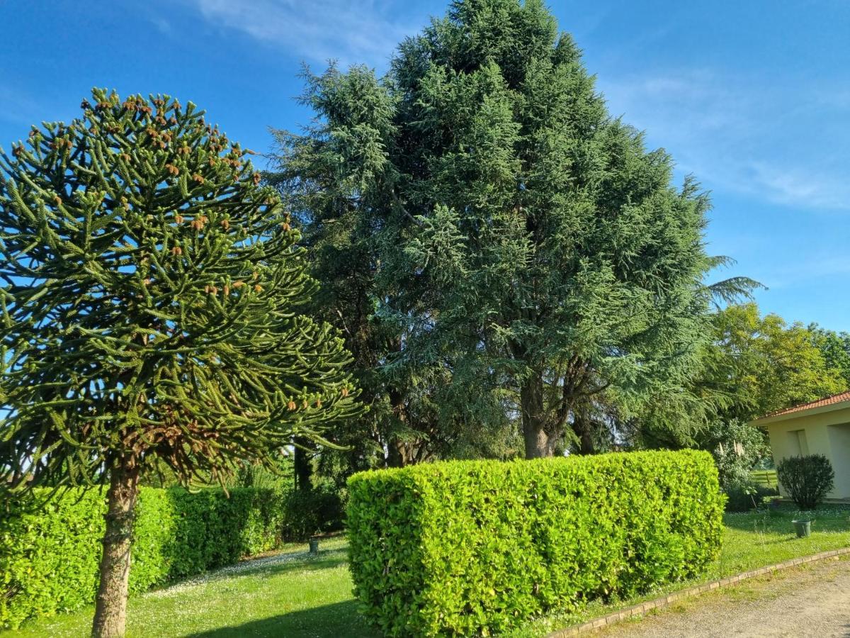 Les 3 Cedres Villa Miramont-de-Guyenne Buitenkant foto