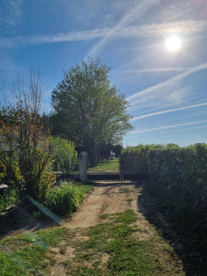 Les 3 Cedres Villa Miramont-de-Guyenne Buitenkant foto